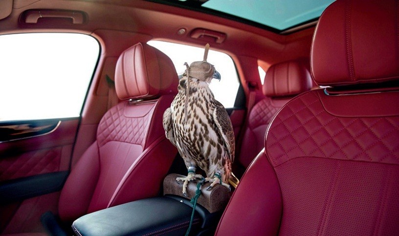 Bentley для соколиной охоты