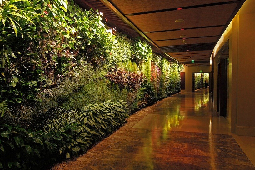 курорт Sofitel The Palm в Дубае курорт Sofitel The Palm в Дубае