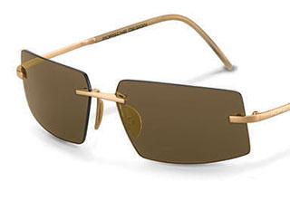 Porsche Design